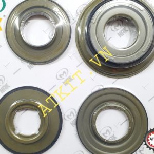 Bộ lá côn (lá bố) của hộp số tự động xe Audi